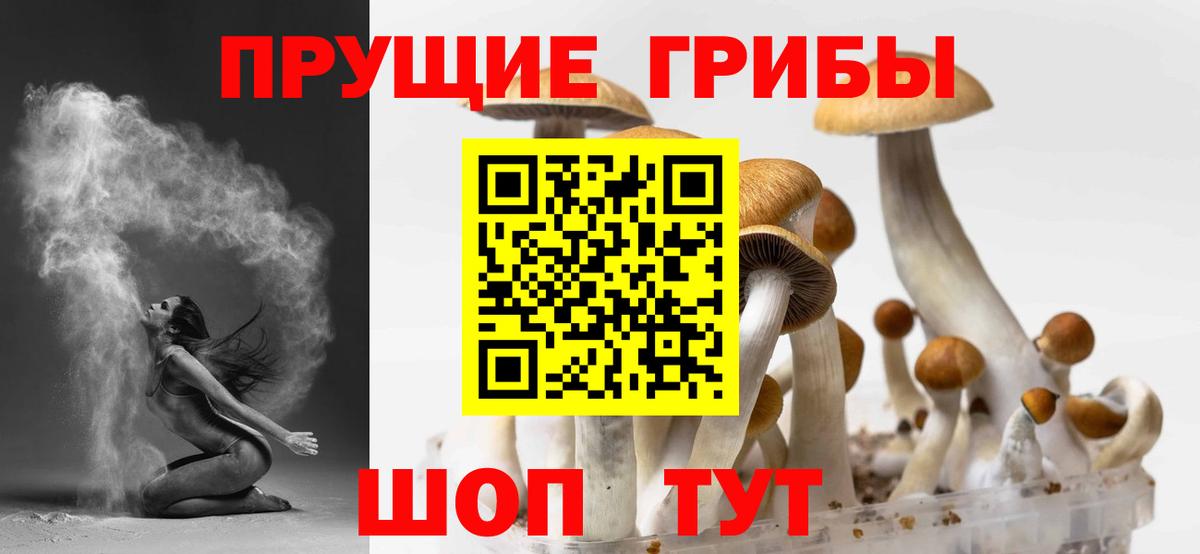 Сызрань  как найти наркотики  Вход с VPN  Псилоцибиновые грибы MAGIC MUSHROOMS 